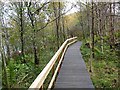Boardwalk at the Fontburn Reservoir in NE61 4PL
