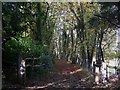 Footpath through Ashcombe Wood in RH5 6AY