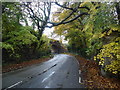 Railway bridge near Wadhurst in Frant & Wadhurst Ward