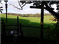 Footpath crossing field near Westhumble in RH5 6AY