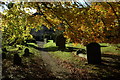 Autumn colours, Newland churchyard in GL16 8NJ