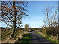 East Lothian Landscape : Approaching Gleghornie Road-end from the South in EH39 5PQ