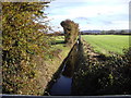 Rhyne, looking east from Mawkin's Bridge, Kennmoor Rd, Kenn in BS21 6TZ