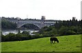 The Britannia Bridge in LL61 5YH