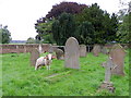 Holy Mowers, St Mary's Churchyard in YO61 3LH