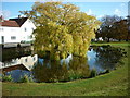 The village pond at Cranswick in YO25 9PE
