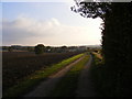Footpath & entrance to Rookery Farm in Rendham