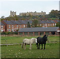 New Bolsover and the castle beyond in S44 6PZ