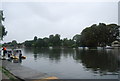 River Thames, Kingston in TW11 9DP
