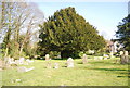 Churchyard, Wilmington in BN26 5SJ