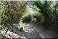Eroded bridleway to Folkington in BN26 5SJ