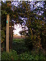 Footpath to the A12 Saxmundham Bypass in IP17 2QL