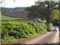 Chilton Lane from Farringdon Hill in EX17 4AQ
