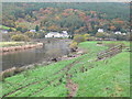 River Conwy near Trefriw in LL27 0TZ