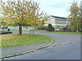 Autumn at the junction of Hazell Avenue and King Edward Avenue in HP21 7HD
