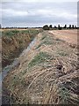 Pannel's Brook in Burnham-on-Crouch North Ward