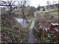 Footbridge over Wince Brook in M24 2DQ
