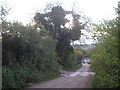Track to Michaels Wood in SP4 0EH