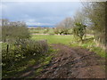 A muddy section of the Staffordshire Way near Abbotsholme School in ST14 5BP