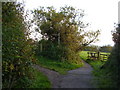 Footpath junction on Salcombe Hill in EX10 8JP