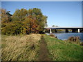 Teesdale Way approaching Surtees Bridge in TS17 6PL