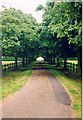 Driveway to and from Tannington Hall, near Framlingham, Suffolk in IP13 7NH