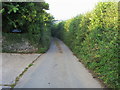 Narrow country lane in PL21 0TQ