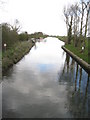 Downstream from Bottisham Lock in CB25 9PX