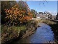 River Pont approaching Ponteland Bridge in NE20 9XF