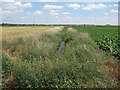 Ditch across South Fen in CB6 2PB
