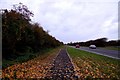 Cycle track by the Northern Bypass in OX3 0QL