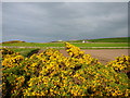 Ploughed field east of Inverboyndie in AB45 1GN