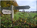 Bridleway Junction by Leyhold Hanger in RH14 9HP