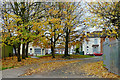 Autumn trees in Blakenhall, Wolverhampton in WV4 5DF