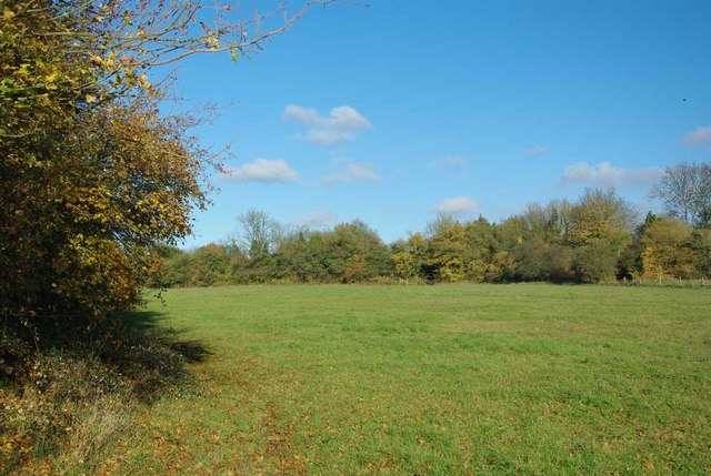 Three Forests Way in CM22 7TR