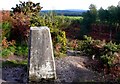 Trig Point, Woolsbarrow Hill Fort in BH20 7EJ