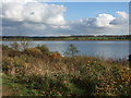River Colne from Fingringhoe Wick Nature Reserve in CO7 8BE