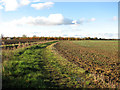 Public footpath to Villa Farm in Alburgh Street