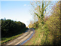 View up Payne's Hill south of Manor Farm in IP20 0DP