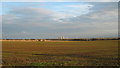 View towards Richborough Power Station in CT12 4GH