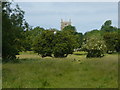 Field path leading to Tetford Church in Tetford