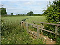 Field path east of Tetford in Tetford