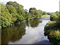 River Ure near Wensley in DL8 4HJ