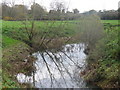 River Arun by Rowner Farm in RH14 9HT