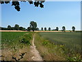 Footpath running south from Upton to Acle in NR13 6BH