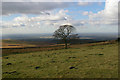 Gritstone Trail: looking into Lyme Park from the Bowstones in Kettleshulme and Lyme Handley