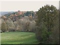 Field and woodland near Dipton Mill in NE46 2JT