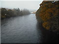 River Tummel in PH16 5DZ