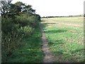 Coastal footpath looking west, near Niton in PO38 1YA