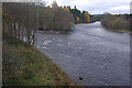 River Dee, Aboyne in AB34 5ER